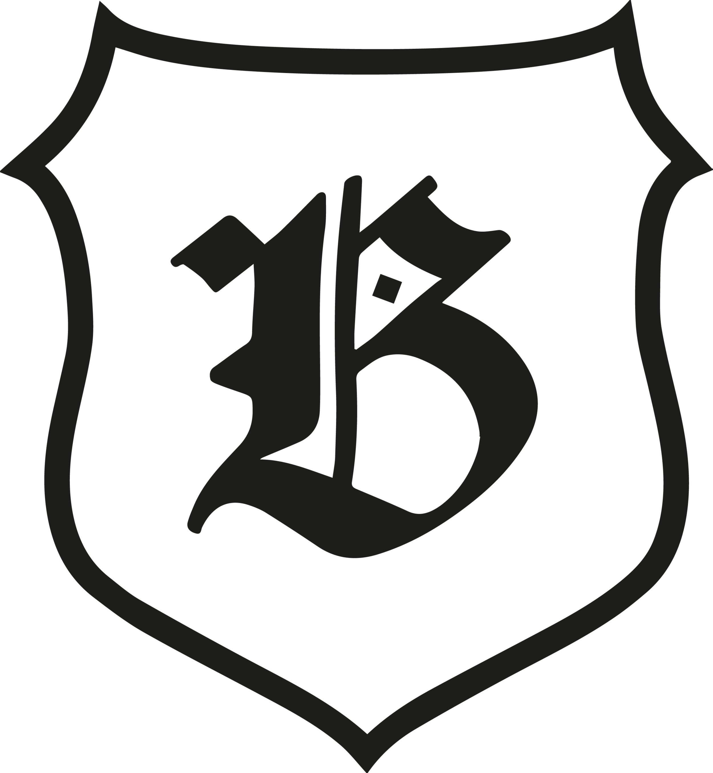 logo bardøla